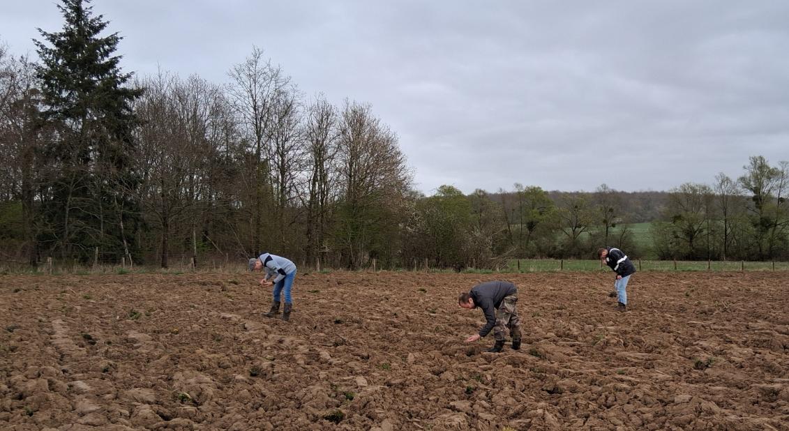 Lire la suite à propos de l’article 4 avril 2026 – Prospection pédestre dans la vallée de la Sarre